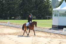 Chico's first ever dressage test